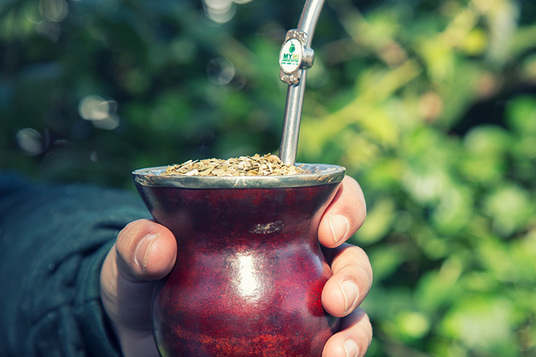 Imagen de El mate, un buen aliado para la prevención del Parkinson Imagen de El mate, un buen aliado para la prevención del Parkinson