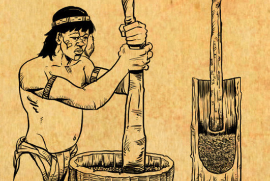 Image of Proceso de elaboración de la Yerba Mate de 1510 a 1659 (Segunda Parte)